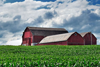 Farm Owners & Families